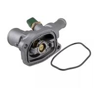 NTY CTM-FT-017 Thermostat d'eau