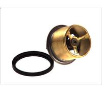 Thermostat, liquide de refroidissement THERMOTEC D2RV001TT pour G 6.177 1990-
