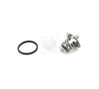 Thermostat Nps T153a13