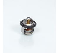 Thermostat Origine Pour Scooter Piaggio 200 Beverly 2002 À 2006 82831r5 Mj5z Neuf