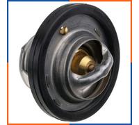 NTY CTM-TY-011 Thermostat d'eau
