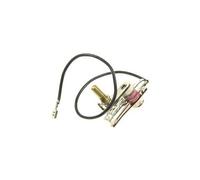 Thermostat raclette, gril, wok ts-01006530