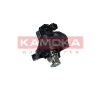 Thermostat, Réfrigérant Pour BMW 1 3 5 X1 X3 Z4