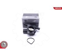 Thermostat, Réfrigérant Pour NISSAN RENAULT CLIO ESPACE GRAND SCÉNIC KOLEOS LAGU