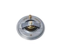 Thermostat, Réfrigérant Pour VW BEETLE GOLF JETTA NEW BEETLE