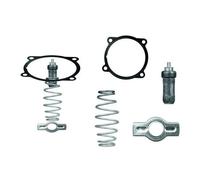 Thermostat Réfrigérant Temp 79 °C Avec Joint MAHLE Pour Notamment IVECO TRAKKER