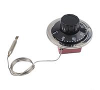 Thermostat réglable pour radiateur 50-300 °C 16 A 2 broches avec sonde à tube capillaire pour chauffe-eau, friteuse électrique, machine à nouilles, contrôle du chauffage