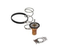 Continental 28.0200-4145.2 Thermostat d'eau