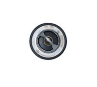 NRF 725193 Thermostat d'eau