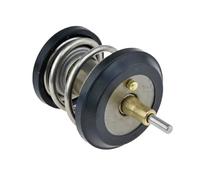 Thermostat d'eau NTY CTM-VW-052