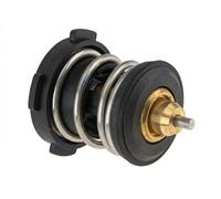 Thermostat d'eau NTY CTM-WW-112