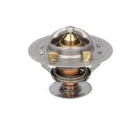 THERMOTEC D2CU004TT Thermostat d'eau