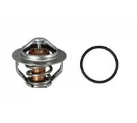 Gates Thermostat TH23582G1