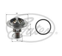 Gates Thermostat d'eau TH34882G1