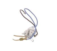 Thermostat + Securite Pour Pieces Preparation Des Boissons Petit Electromenager - Ss-193311