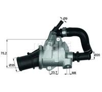 Behr Thermot-Tronik TI 145 88 Thermostat d'eau
