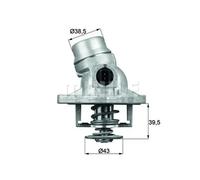 Thermostat d'eau MAHLE TM 12 105