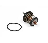 HEPU TM1003 Thermostat d'eau