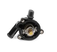 HEPU TM1101 Thermostat d'eau