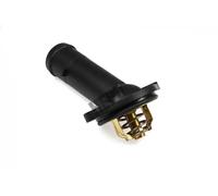 Thermostat TM1245 HEPU