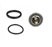 HEPU TM1305 Thermostat d'eau