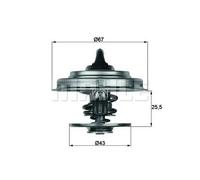 MAHLE TX 18 65D Thermostat d'eau