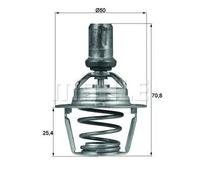 MAHLE TX 66 86D Thermostat d'eau