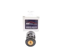Thermostat VAG
