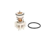 Thermotec Thermostat d'eau D2A010TT