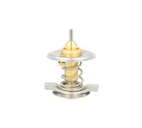 Thermotec Thermostat d'eau D2M004TT - avec boîtier et joint d'étanchéité 87°C