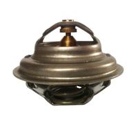 THERMOTEC D2UR005TT Thermostat d'eau