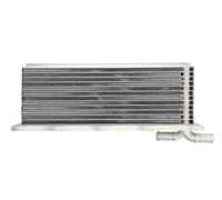 THERMOTEC D4A031TT Intercooler, échangeur pour AUDI,CUPRA,SEAT,SKODA,VW