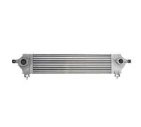 Intercooler THERMOTEC DA1002TT