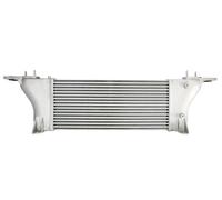THERMOTEC DA1015TT Intercooler, échangeur pour NISSAN