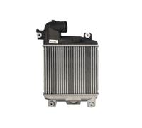 THERMOTEC DA2004TT Intercooler, échangeur pour TOYOTA