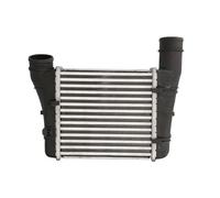 THERMOTEC DAA001TT Intercooler