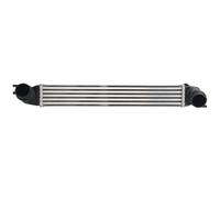 Thermotec Intercooler DAB022TT - Compatible avec MINI R56/R60/R55/R57/R61/R58