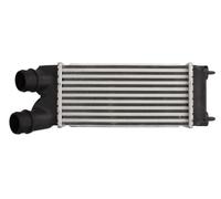 THERMOTEC DAC015TT Intercooler, échangeur pour CITROËN,PEUGEOT