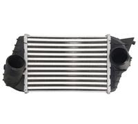 THERMOTEC DAF009TT Intercooler, échangeur pour FIAT