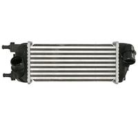THERMOTEC DAF015TT Intercooler, échangeur pour FIAT