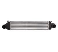 THERMOTEC DAG006TT Intercooler, échangeur pour FORD,LAND ROVER,VOLVO