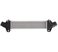 THERMOTEC DAG009TT Intercooler, échangeur pour FORD