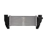 THERMOTEC DAG031TT - Refroidisseur turbo LLK compatible avec Ford Transit Connect P65, P70, P80 1201168 2T1Q9L440AB 2T1Q9L440AC
