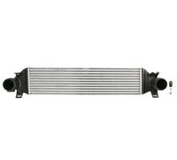 THERMOTEC DAG033TT Intercooler, échangeur pour FORD