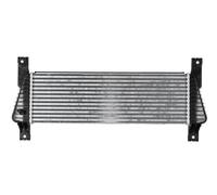 THERMOTEC DAG036TT Intercooler