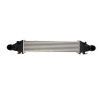 THERMOTEC DAM025TT LLK Turbo Intercooler Refroidisseur intermédiaire