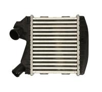 Intercooler THERMOTEC DAM031TT
