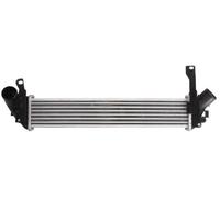 THERMOTEC DAR007TT Intercooler, échangeur pour NISSAN,RENAULT