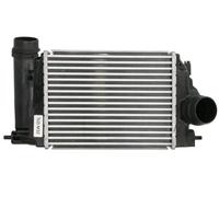 THERMOTEC DAR028TT Intercooler, échangeur pour NISSAN,RENAULT