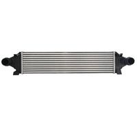 Thermotec Intercooler DAV006TT Aluminium pour Volvo